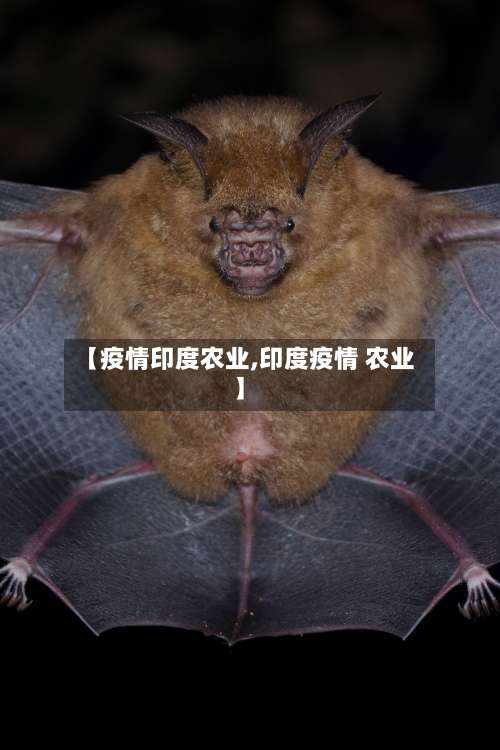 【疫情印度农业,印度疫情 农业】-第2张图片