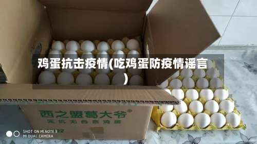 鸡蛋抗击疫情(吃鸡蛋防疫情谣言)-第2张图片