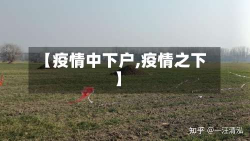 【疫情中下户,疫情之下】