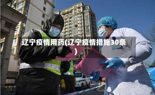 辽宁疫情用药(辽宁疫情措施30条)-第2张图片