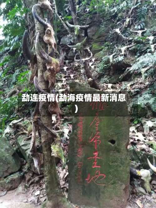 勐连疫情(勐海疫情最新消息)-第3张图片
