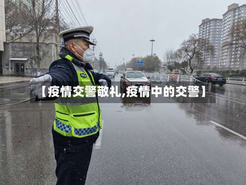 【疫情交警敬礼,疫情中的交警】-第2张图片