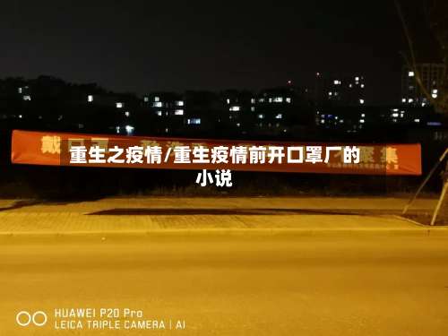 重生之疫情/重生疫情前开口罩厂的小说-第3张图片