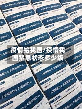 疫情给我国/疫情我国紧急状态多少级-第3张图片