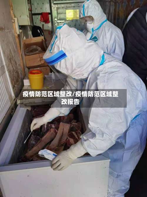 疫情防范区域整改/疫情防范区域整改报告
