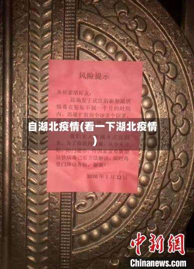 自湖北疫情(看一下湖北疫情)-第3张图片