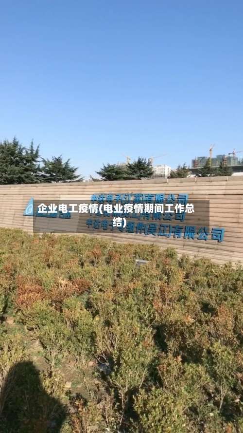 企业电工疫情(电业疫情期间工作总结)