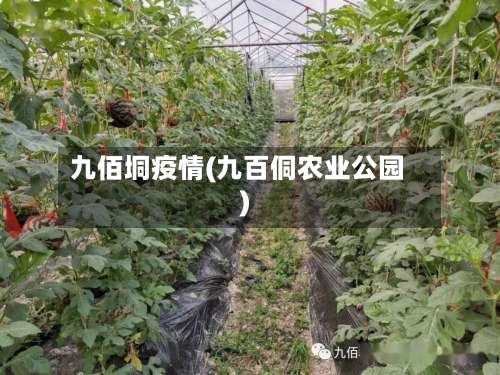 九佰垌疫情(九百侗农业公园)