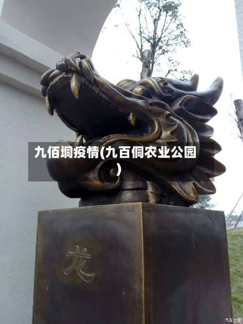 九佰垌疫情(九百侗农业公园)-第2张图片