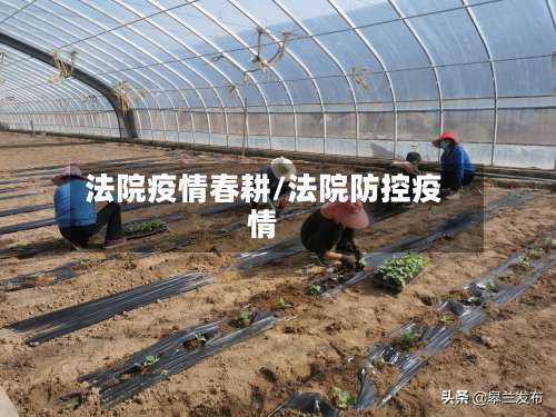 法院疫情春耕/法院防控疫情-第3张图片