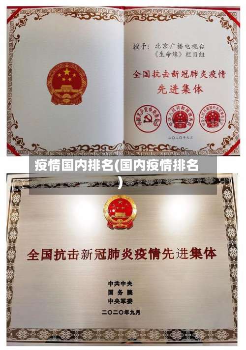 疫情国内排名(国内疫情排名)