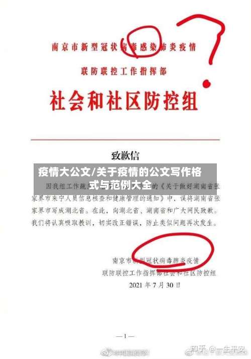 疫情大公文/关于疫情的公文写作格式与范例大全-第2张图片