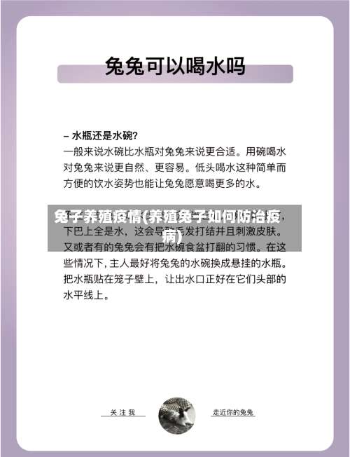 兔子养殖疫情(养殖兔子如何防治疫病)
