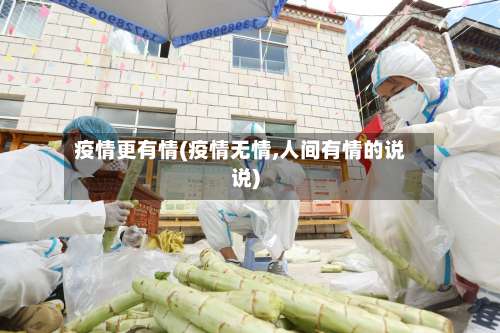 疫情更有情(疫情无情,人间有情的说说)