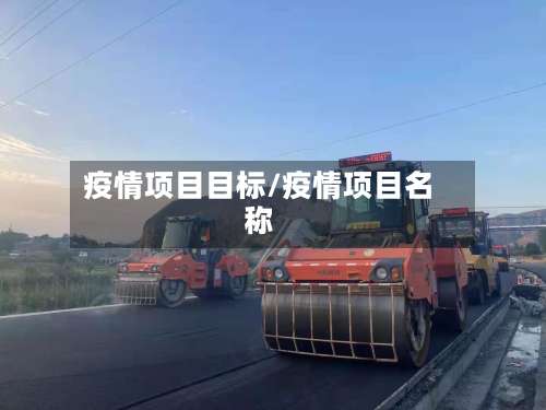 疫情项目目标/疫情项目名称