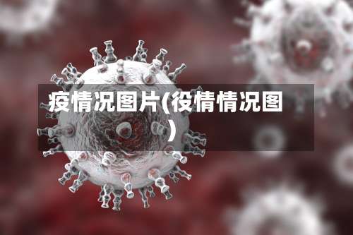 疫情况图片(役情情况图)