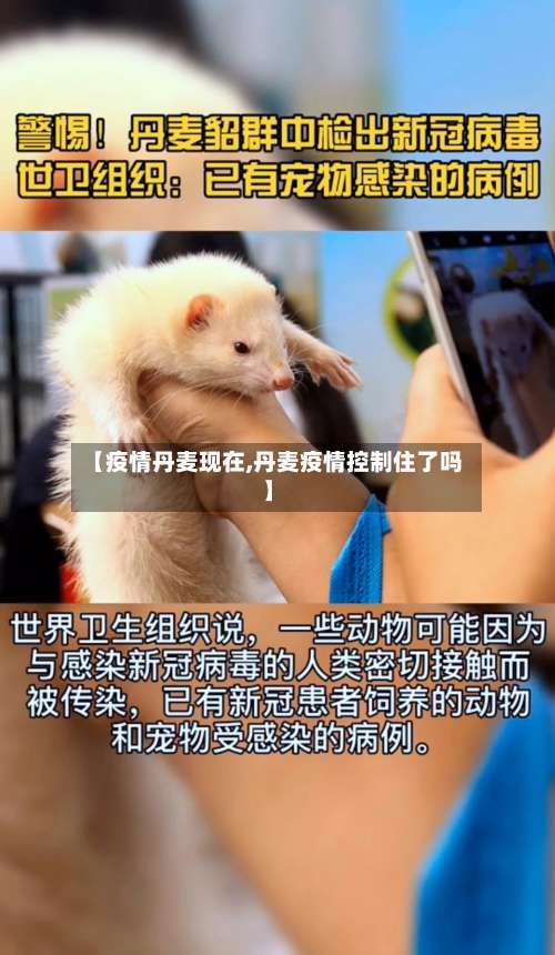 【疫情丹麦现在,丹麦疫情控制住了吗】-第3张图片
