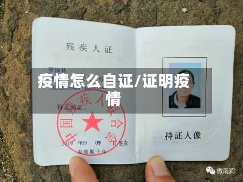 疫情怎么自证/证明疫情-第2张图片