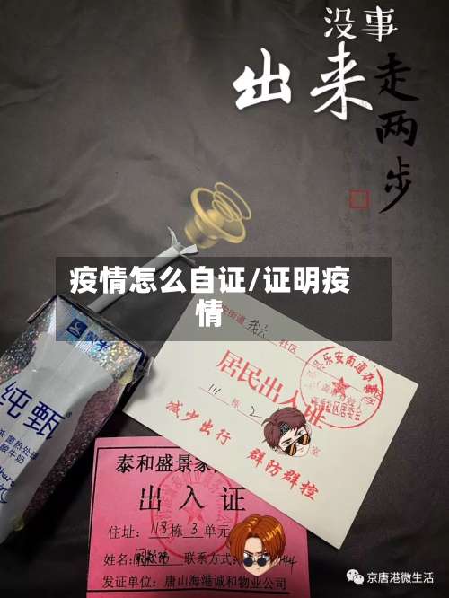疫情怎么自证/证明疫情-第3张图片