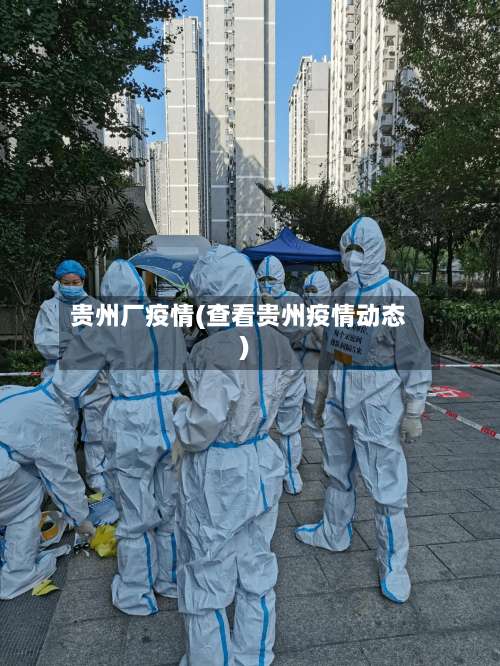 贵州厂疫情(查看贵州疫情动态)-第2张图片