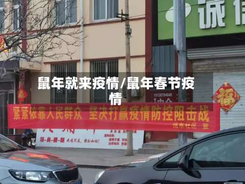 鼠年就来疫情/鼠年春节疫情-第2张图片