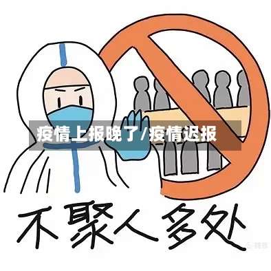 疫情上报晚了/疫情迟报-第2张图片