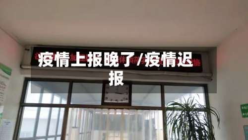 疫情上报晚了/疫情迟报
