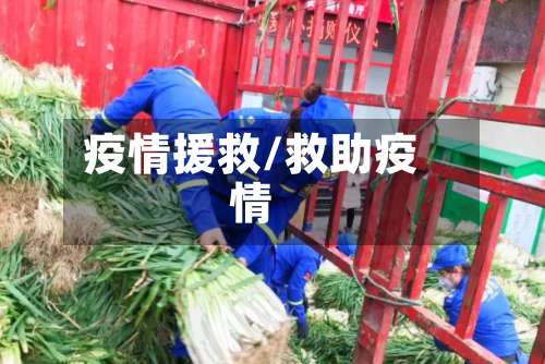疫情援救/救助疫情