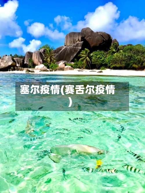 塞尔疫情(赛舌尔疫情)