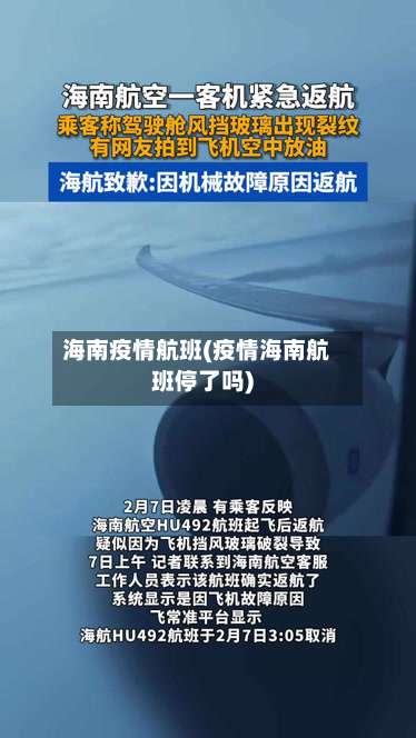 海南疫情航班(疫情海南航班停了吗)-第2张图片