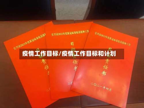 疫情工作目标/疫情工作目标和计划-第3张图片