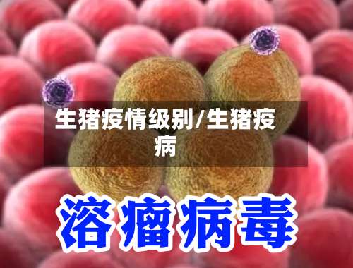 生猪疫情级别/生猪疫病
