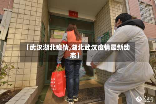 【武汉湖北疫情,湖北武汉疫情最新动态】-第2张图片