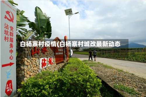 白杨寨村疫情(白杨寨村城改最新动态)-第2张图片