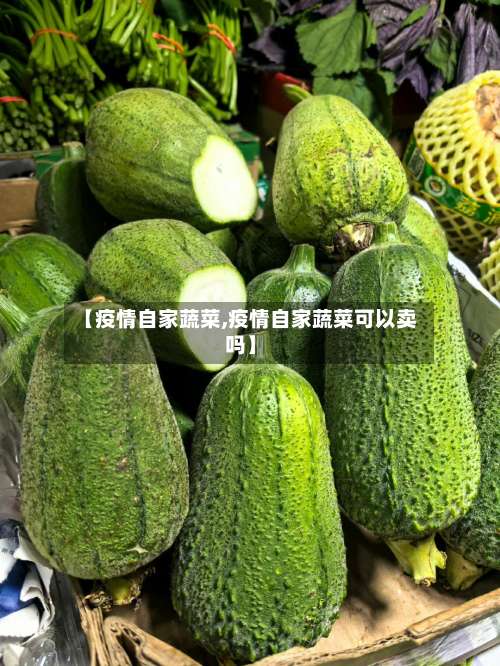 【疫情自家蔬菜,疫情自家蔬菜可以卖吗】