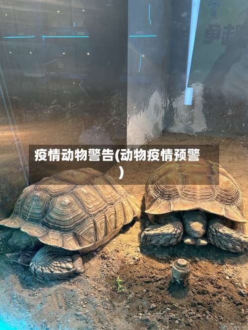 疫情动物警告(动物疫情预警)