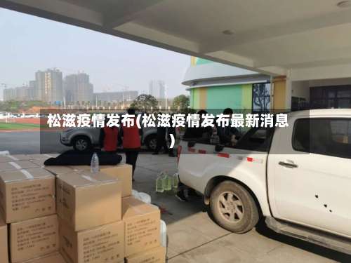 松滋疫情发布(松滋疫情发布最新消息)-第2张图片