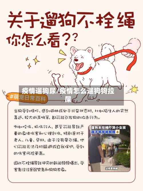 疫情遛狗尿/疫情怎么遛狗狗拉屎