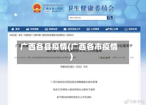 广西各县疫情(广西各市疫情)-第2张图片