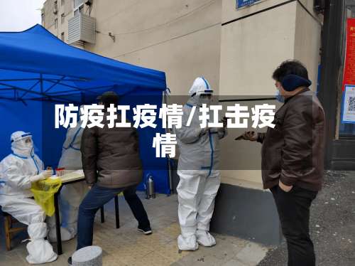 防疫扛疫情/扛击疫情-第2张图片