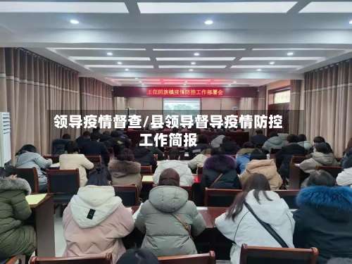 领导疫情督查/县领导督导疫情防控工作简报-第2张图片