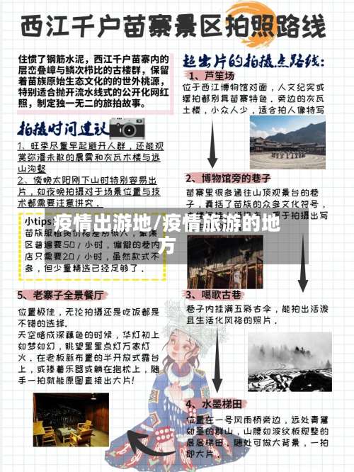 疫情出游地/疫情旅游的地方