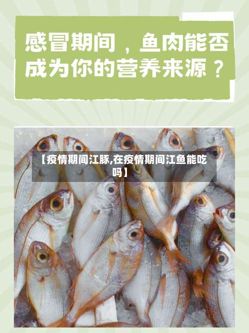【疫情期间江豚,在疫情期间江鱼能吃吗】-第2张图片