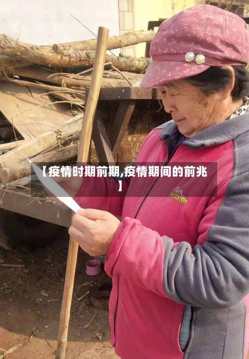 【疫情时期前期,疫情期间的前兆】-第3张图片