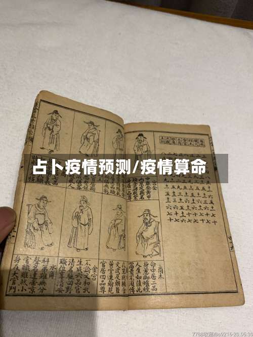 占卜疫情预测/疫情算命-第2张图片