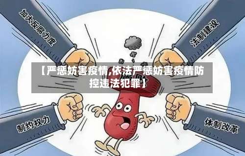 【严惩妨害疫情,依法严惩妨害疫情防控违法犯罪】-第3张图片