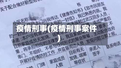 疫情刑事(疫情刑事案件)-第2张图片