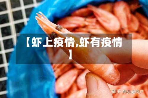 【虾上疫情,虾有疫情】-第1张图片