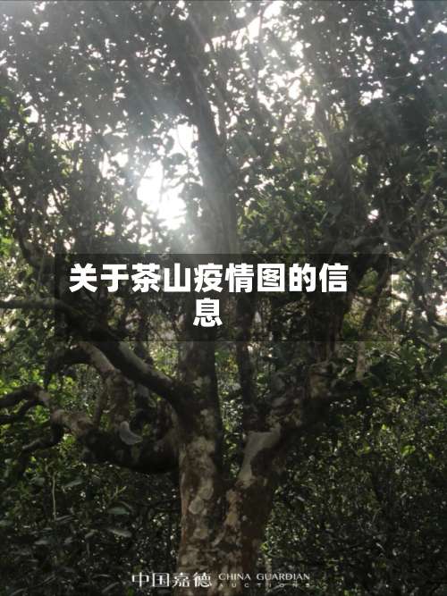 关于茶山疫情图的信息