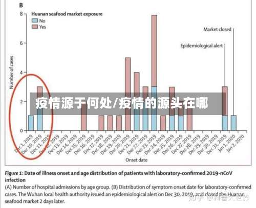 疫情源于何处/疫情的源头在哪